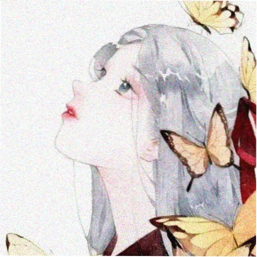用户 泡菜冰箱 的头像